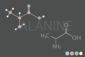 alanina molecolare scheletrico chimico formula vettore