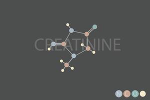 creatina molecolare scheletrico chimico formula vettore