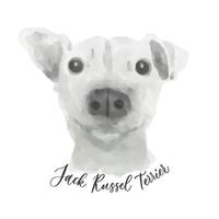 acquerello cane jack rassel terrier. vettore