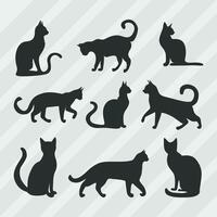 gatto silhouette vettore collezione, gatto simbolo impostato