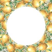 telaio di giallo succoso limoni con verde le foglie e rami. isolato acquerello illustrazione nel realistico stile. fatto a mano composizione per decorazione di carte, nozze disegno, inviti, tessili. vettore