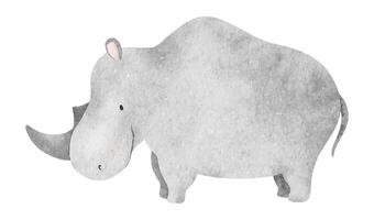 carino bambino rinoceronte. isolato mano disegnato acquerello illustrazione di africano animale. capretto zoo. per design bambino doccia, carte, manifesti, capretto merce e camere vettore