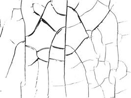 astratto Cracked monocromatico struttura vettore