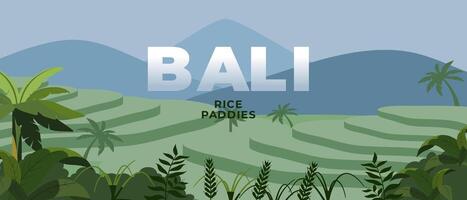 bali riso terrazze paesaggio bandiera vettore