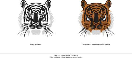 tigre viso avvicinamento - illustrazione. tigre viso dettagliato . realistico disegno. nero e bianca disegno. colorato tigre viso. natura illustrazione. vettore