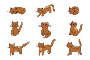 mano disegnato gatto clipart. carino animale domestico scarabocchio impostato vettore