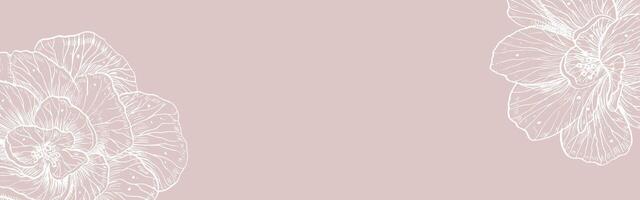 bandiera con rosa fiori nel lineare stile e rosa sfondo. botanico modello per saluto carte o nozze inviti. lusso floreale fondale con peonia. minimalista linea arte vettore