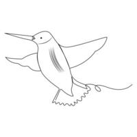 colibrì continuo uno linea disegno illustrazione arte design vettore