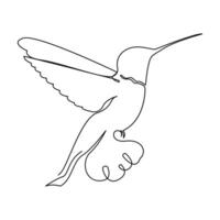 colibrì continuo uno linea disegno illustrazione arte design vettore