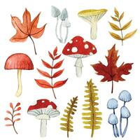 impostato di carino autunno le foglie e funghi. acquerello disegno cartone animato vettore