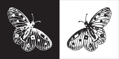 illustrazione grafica di farfalla icona vettore