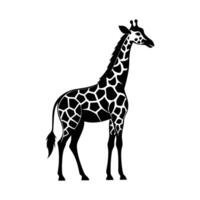 un' giraffa con un' nero e bianca disegno su bianca sfondo vettore