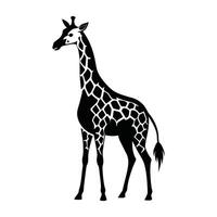 un' giraffa con un' nero e bianca disegno su bianca sfondo vettore