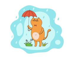 cartone animato gatto con un ombrello. piovere, stagione. animale domestico, camminare. disegno, scarabocchio. Grasso carino gattino. illustrazione. sfondo isolato. vettore