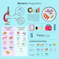 Batteri Infographic Set vettore