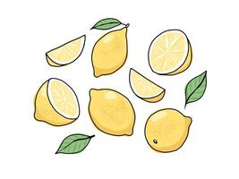 Limone mano disegnato impostare. totale e affettato frutta. illustrazione nel scarabocchio stile vettore