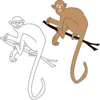 scimmia clipart impostare. cartone animato selvaggio animali clipart impostato per Gli amanti di natura vettore