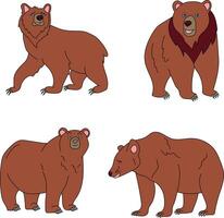 orso clipart impostare. cartone animato selvaggio animali clipart impostato per Gli amanti di natura vettore