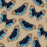 senza soluzione di continuità modello con alto dettagliato tropico farfalla vettore