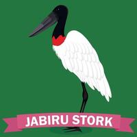 jabiru cartone animato genere uccello illustrazione vettore