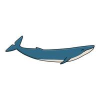 blu balena. mano disegnato cartone animato infantile isolato illustrazione su il bianca sfondo. polare animale nel Antartide vettore