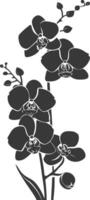 ai generato silhouette orchidea fiore nero colore solo vettore