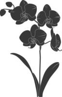 ai generato silhouette orchidea fiore nero colore solo vettore