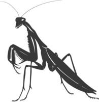 silhouette mantide animale nero colore solo pieno corpo vettore