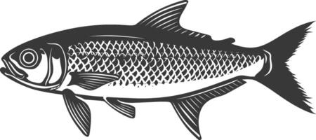 silhouette sardina pesce animale nero colore solo pieno corpo vettore