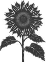 silhouette girasole fiore nero colore solo vettore