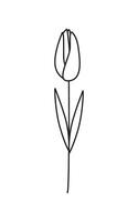 schema tulipano fiore. primavera fiore. botanico schizzo, disegno. nero e bianca. icona, logo, tatuaggio. vettore