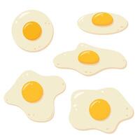 impostato di fresco uova nel diverso visualizzazioni. salutare biologico cibo per prima colazione. cucinato fritte uova pasto collezione. vettore