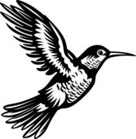 colibrì, nero e bianca illustrazione vettore