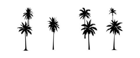 nero palma alberi impostato isolato su bianca sfondo. palma sagome. design di palma alberi per manifesti, banner e promozionale Oggetti. illustrazione vettore