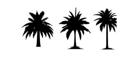 nero palma alberi impostato isolato su bianca sfondo. palma sagome. design di palma alberi per manifesti, banner e promozionale Oggetti. illustrazione vettore