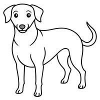 giocoso cane illustrazioni - Perfetto per a tema animale domestico arredamento, saluto carte, e figli di abbigliamento vettore