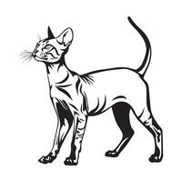 abissino gatto su bianca sfondo cartone animato azione vettore