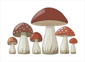 illustrazione di fungo gruppo isolato su bianca sfondo vettore