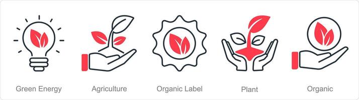 un' impostato di 5 biologico agricoltura icone come verde energia, agricoltura, biologico etichetta vettore