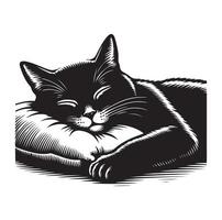 un' gatto addormentato con cuscino vettore