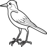 gazza volante uccello per bambini. colorazione libro. uccello illustrazione. gazza colorazione pagine vettore