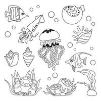 marino impostare, pesce, calamaro, Medusa e conchiglie nel semplice lineare stile. nero e bianca grafica per libri e manifesti vettore