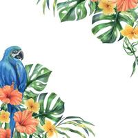 tropicale palma foglie, Monstera e fiori di plumeria, ibisco, luminosa succoso con blu-giallo ara pappagallo. mano disegnato acquerello botanico illustrazione. modello telaio isolato a partire dal il sfondo. vettore