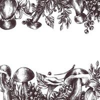 foresta funghi, porcini, finferli e mirtilli, mirtilli rossi, ramoscelli, coni, le foglie. grafico illustrazione mano disegnato nel nero inchiostro. confine, modello eps . vettore