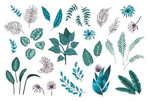 set vettoriale di piante e foglie tropicali. illustrazione giungla esotica con vegetazione esotica. collezione di rami della giungla nei colori viola e verde smeraldo