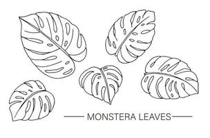 set vettoriale di foglie di monstera tropicale. disegno a tratteggio del fogliame della giungla. ClipArt di foglia tropicale casa disegnata a mano isolato su priorità bassa bianca.