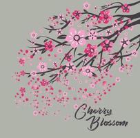 Sakura Giappone ramo di ciliegio con fiori che sbocciano illustrazione vettoriale. vettore