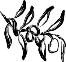 mazzo di olive ramo con foglie e olive olive vettore doodle pennello contorno nero