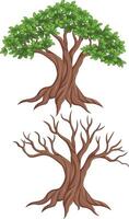 illustrazione di un' vivente albero e morto albero vettore