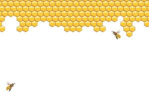 ape alveare, astratto favi e api su un' bianca sfondo. illustrazione. vettore